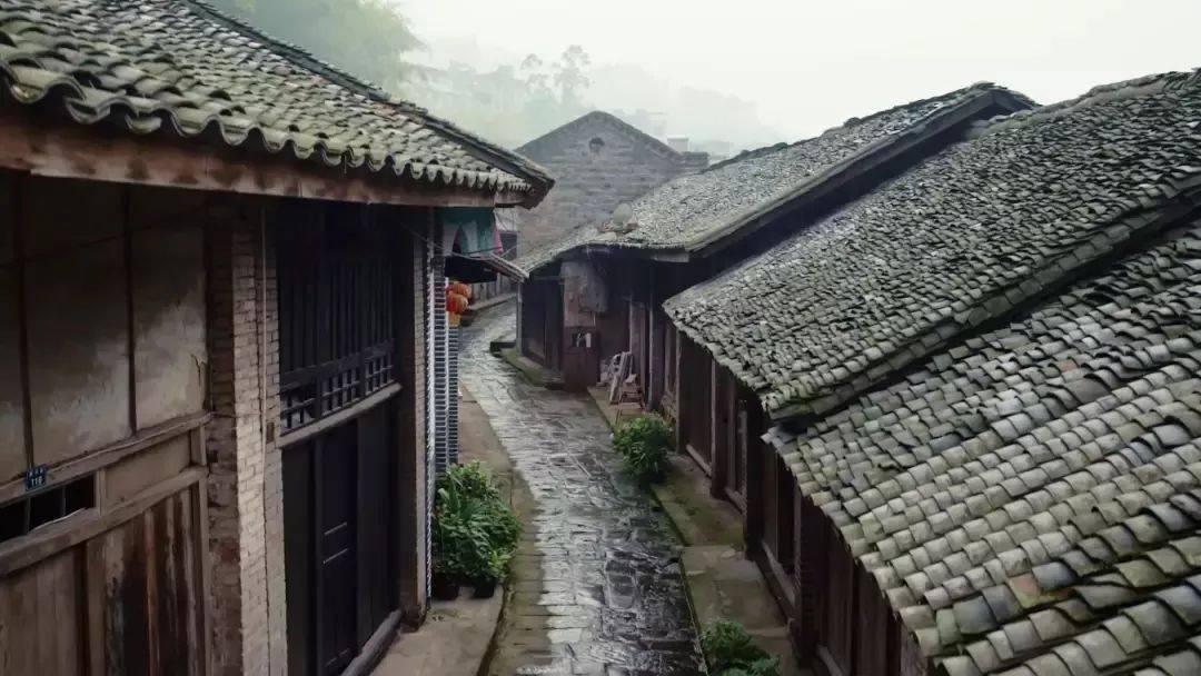 悬崖跳水运动