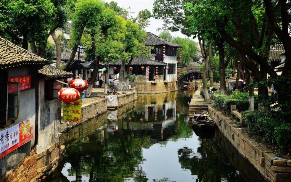 橡皮树怎么养呢?-有问必答平台,解疑答惑